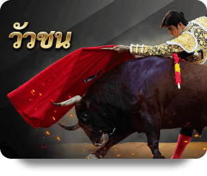 วัวชน