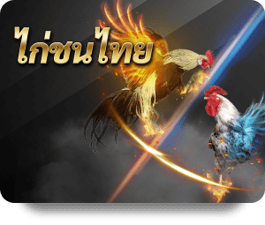 ไก่ชนไทย