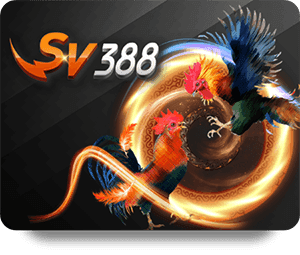 SV388 ไก่ชน