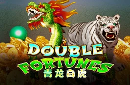 ภาพเกม Double Flame